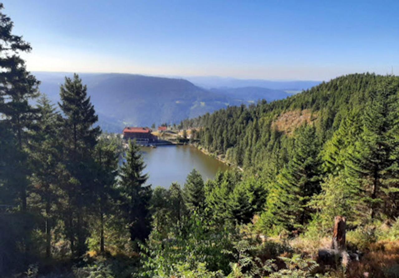 Rehkitz Apartment Baiersbronn Luaran gambar
